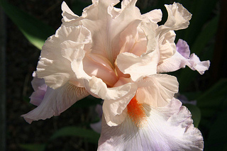 Happy Mother's Day bouquet